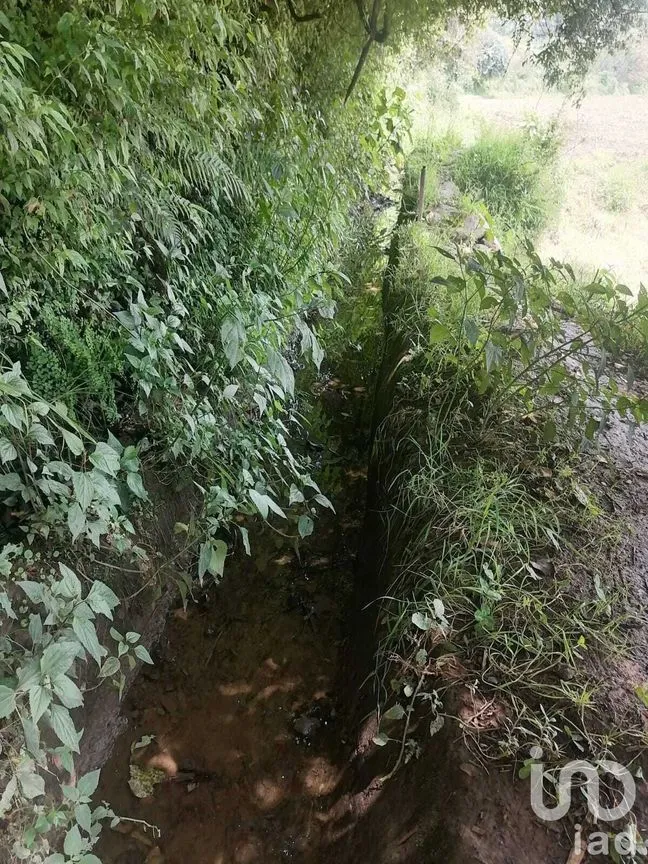 Terreno en Venta en San Bartolo, Amanalco, Estado De México | NEX-227292 | iad México | Foto 7 de 10