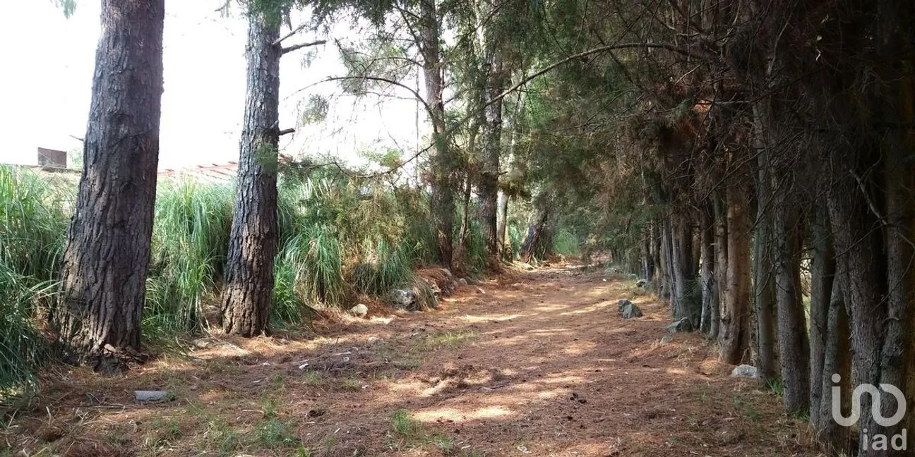 Terreno en Venta en San Lucas, Amanalco, Estado De México | NEX-227293 | iad México | Foto 11 de 12