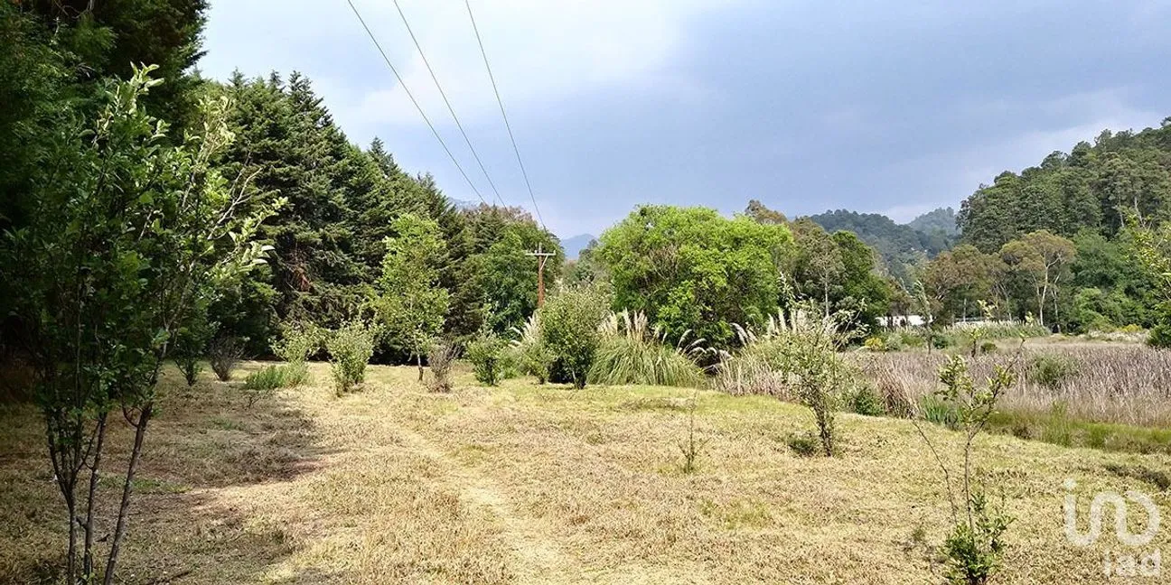 Terreno en Venta en San Lucas, Amanalco, Estado De México | NEX-227293 | iad México | Foto 10 de 12