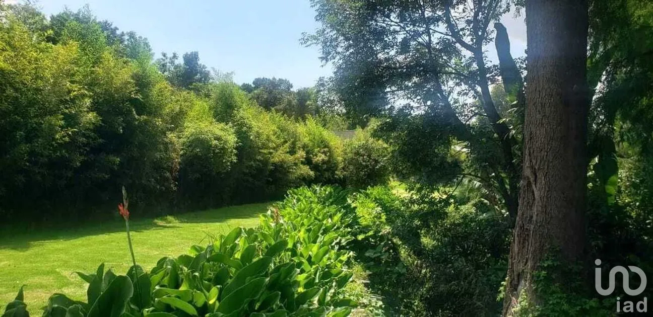 Terreno en Venta en Pipioltepec, Valle de Bravo, Estado De México | NEX-227294 | iad México | Foto 11 de 15