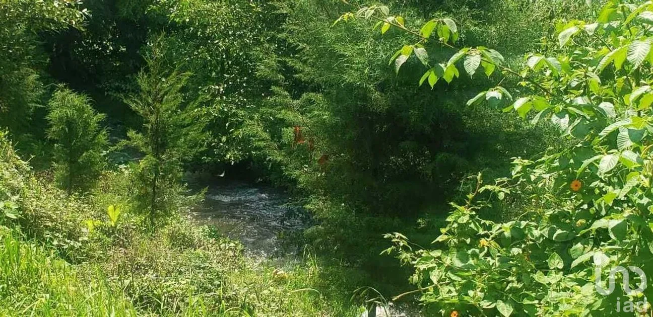 Terreno en Venta en Pipioltepec, Valle de Bravo, Estado De México | NEX-227294 | iad México | Foto 12 de 15
