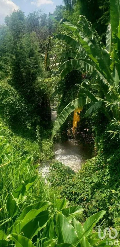 Terreno en Venta en Pipioltepec, Valle de Bravo, Estado De México | NEX-227294 | iad México | Foto 13 de 15