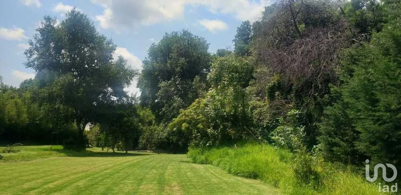 Terreno en Venta en Pipioltepec, Valle de Bravo, Estado De México | NEX-227294 | iad México | Foto 3 de 15