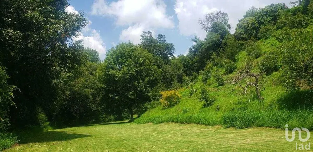Terreno en Venta en Pipioltepec, Valle de Bravo, Estado De México | NEX-227294 | iad México | Foto 4 de 15