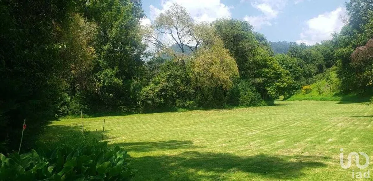 Terreno en Venta en Pipioltepec, Valle de Bravo, Estado De México | NEX-227294 | iad México | Foto 5 de 15