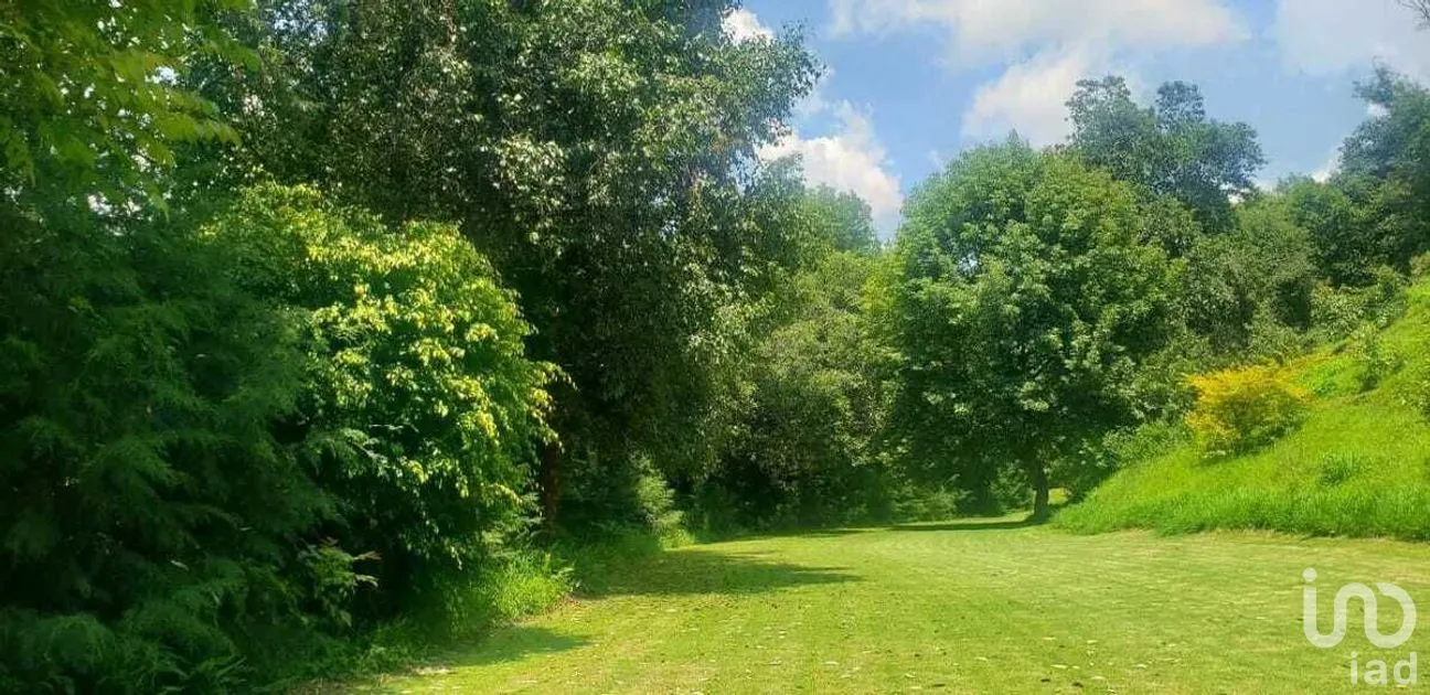 Terreno en Venta en Pipioltepec, Valle de Bravo, Estado De México | NEX-227294 | iad México | Foto 6 de 15