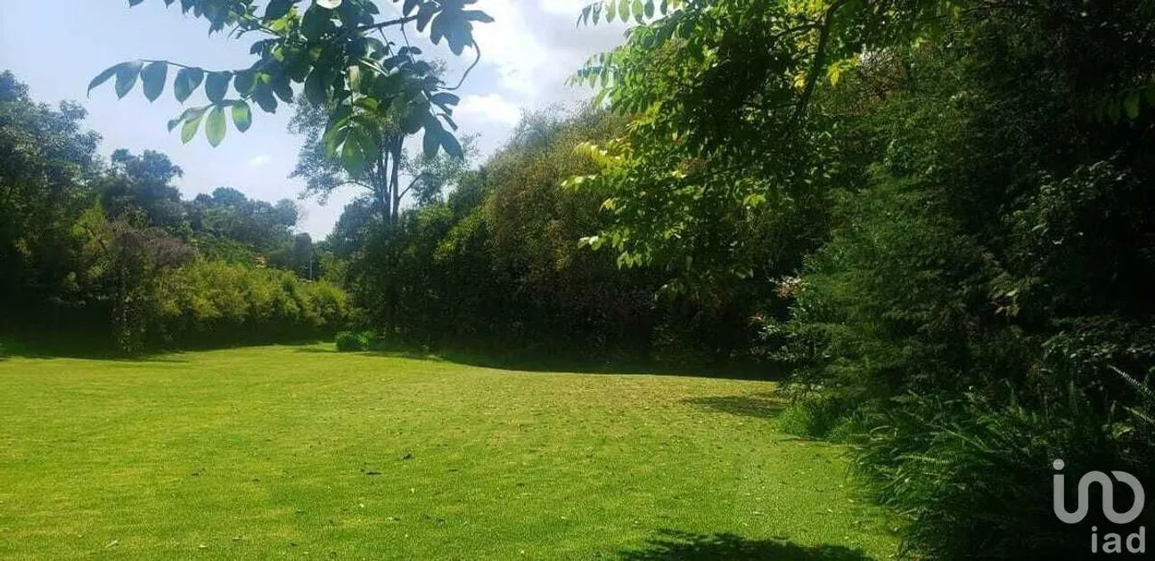 Terreno en Venta en Pipioltepec, Valle de Bravo, Estado De México | NEX-227294 | iad México | Foto 7 de 15
