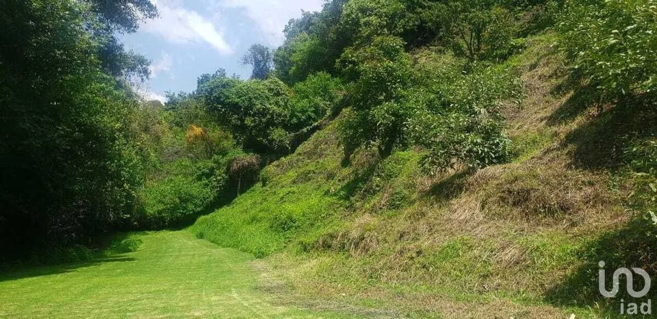 Terreno en Venta en Pipioltepec, Valle de Bravo, Estado De México | NEX-227294 | iad México | Foto 8 de 15