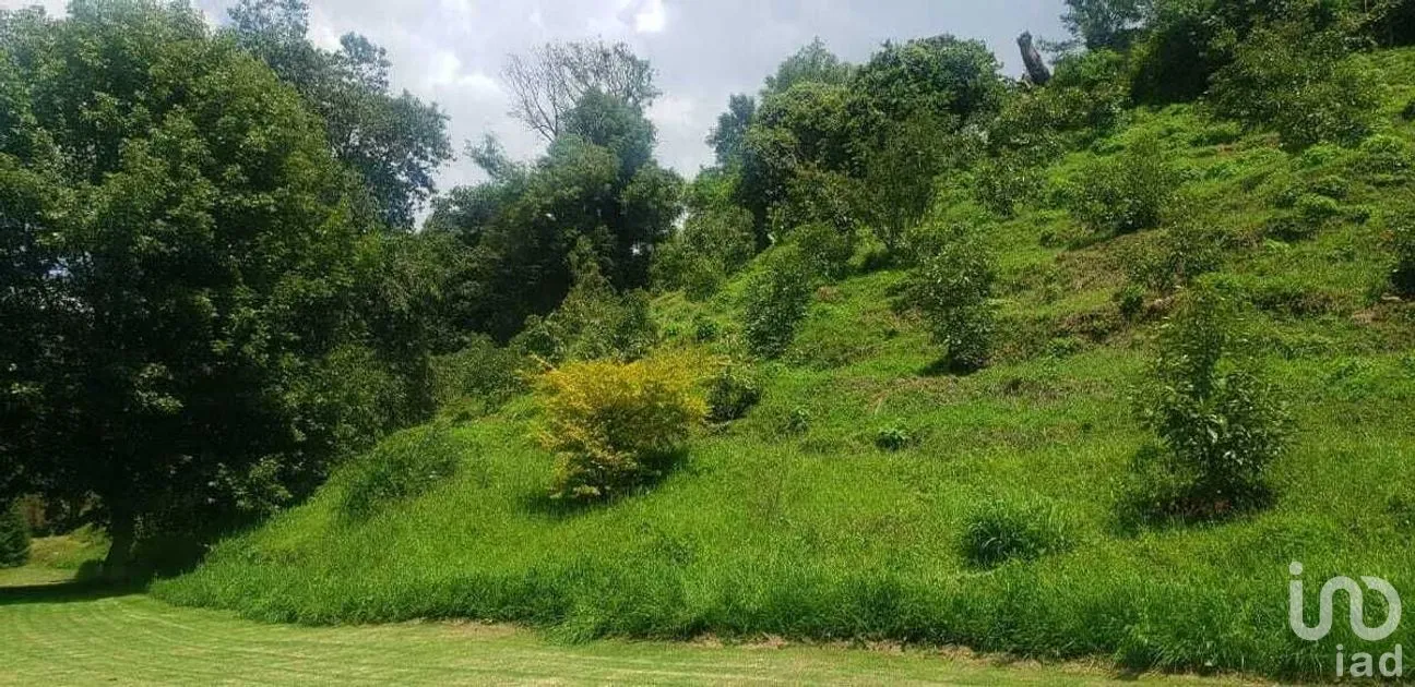 Terreno en Venta en Pipioltepec, Valle de Bravo, Estado De México | NEX-227294 | iad México | Foto 9 de 15