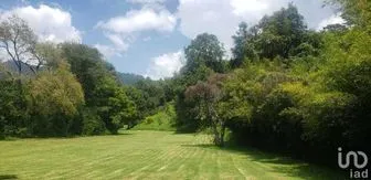 NEX-227294 - Terreno en Venta en Pipioltepec, CP 51209, Estado De México.