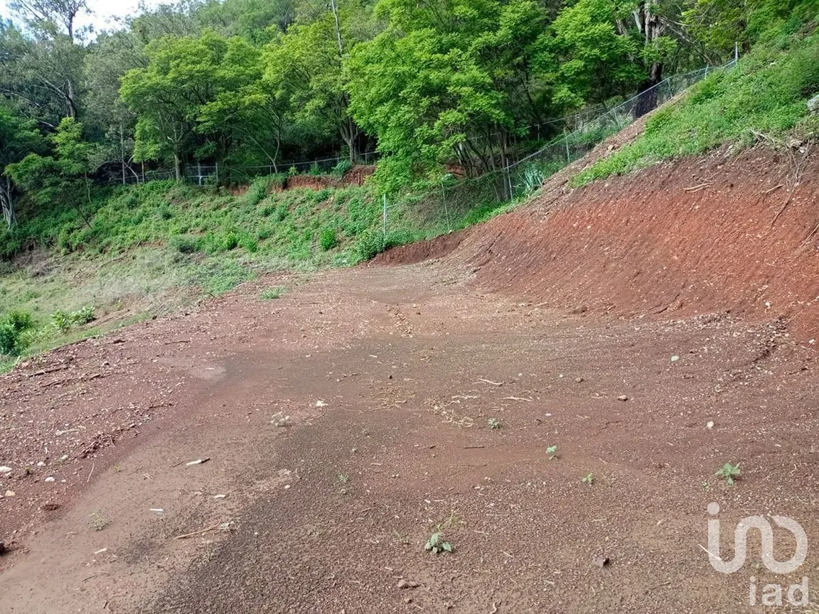 Terreno en Venta en San Gaspar, Valle de Bravo, Estado De México | NEX-227295 | iad México | Foto 8 de 19