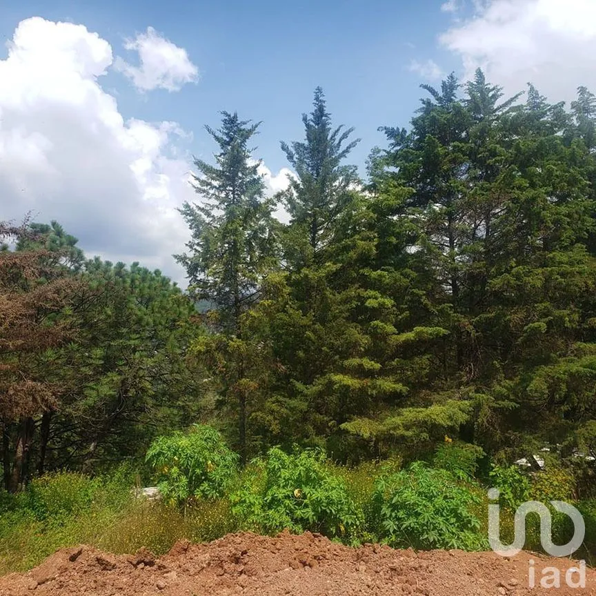 Terreno en Venta en Valle de Bravo, Valle de Bravo, Estado De México | NEX-227299 | iad México | Foto 2 de 12