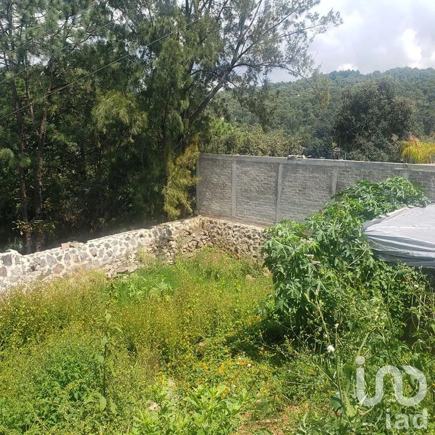 Terreno en Venta en Valle de Bravo, Valle de Bravo, Estado De México | NEX-227299 | iad México | Foto 12 de 12