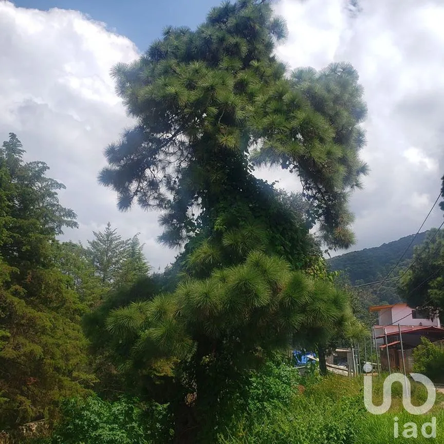 Terreno en Venta en Valle de Bravo, Valle de Bravo, Estado De México | NEX-227299 | iad México | Foto 3 de 12