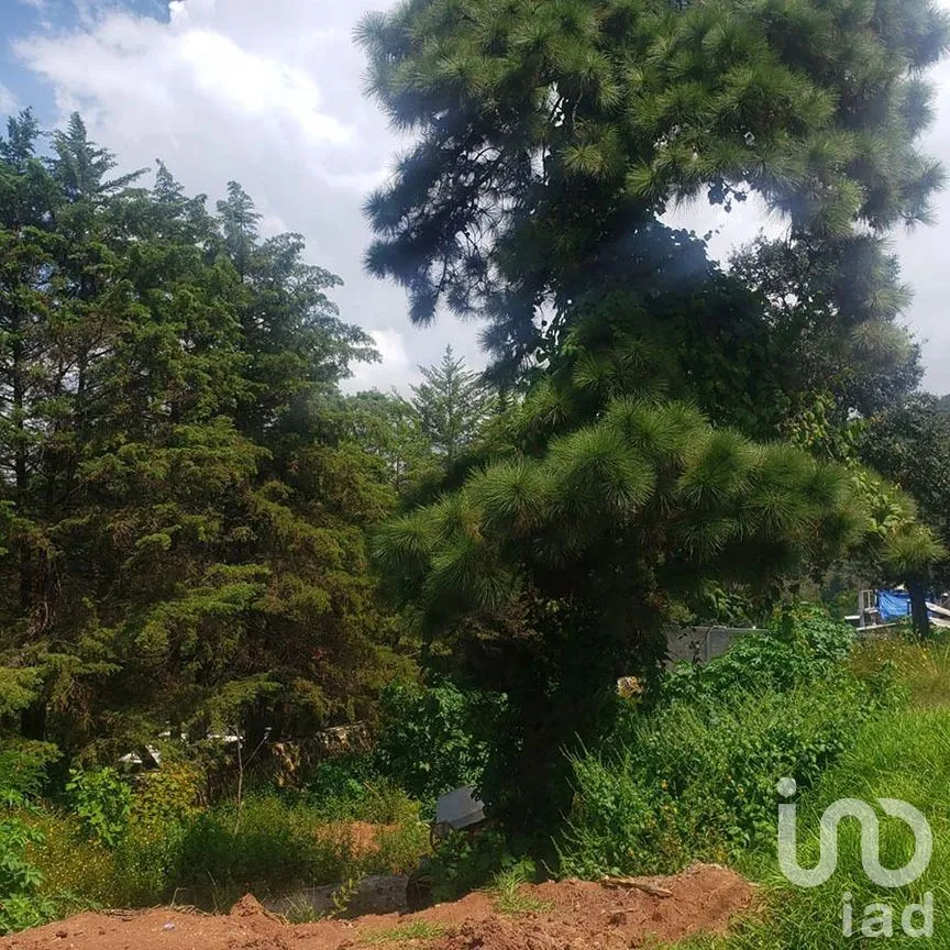 Terreno en Venta en Valle de Bravo, Valle de Bravo, Estado De México | NEX-227299 | iad México | Foto 4 de 12