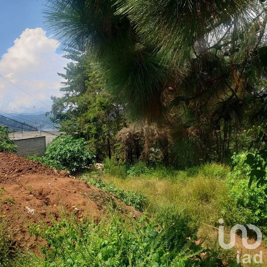 Terreno en Venta en Valle de Bravo, Valle de Bravo, Estado De México | NEX-227299 | iad México | Foto 6 de 12