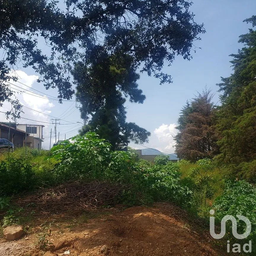 Terreno en Venta en Valle de Bravo, Valle de Bravo, Estado De México | NEX-227299 | iad México | Foto 7 de 12