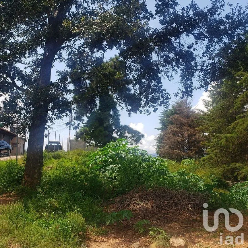 Terreno en Venta en Valle de Bravo, Valle de Bravo, Estado De México | NEX-227299 | iad México | Foto 8 de 12