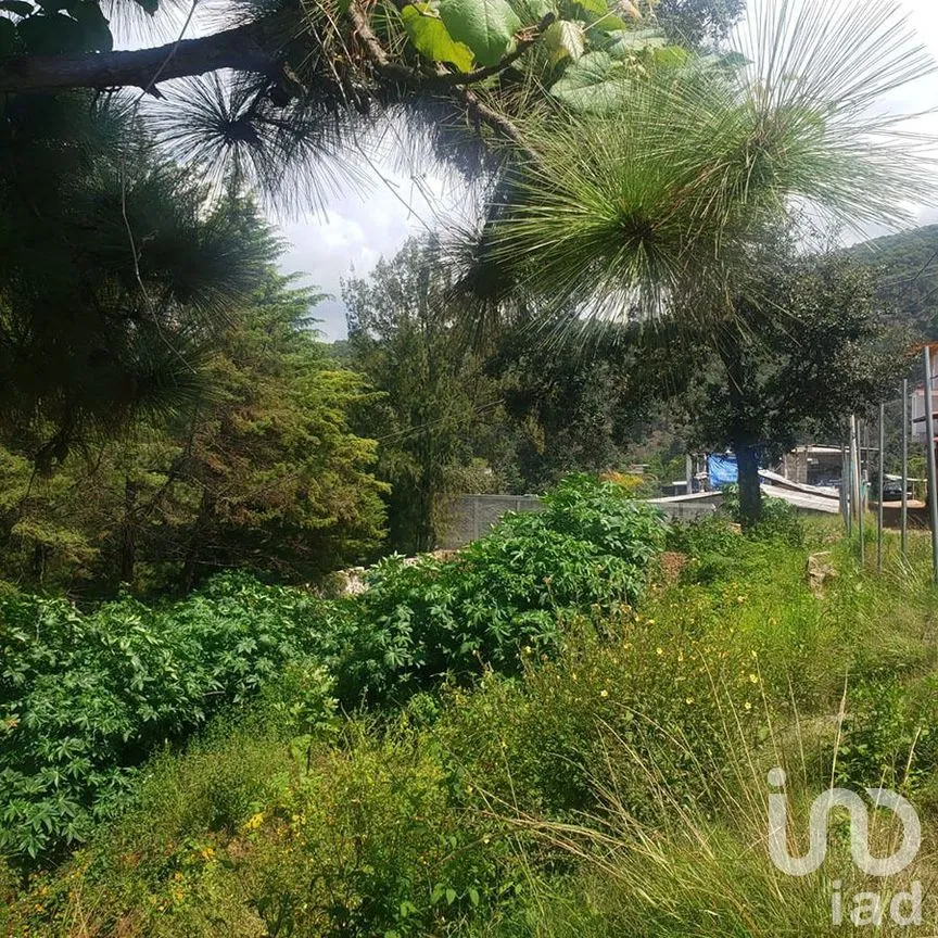 Terreno en Venta en Valle de Bravo, Valle de Bravo, Estado De México | NEX-227299 | iad México | Foto 9 de 12