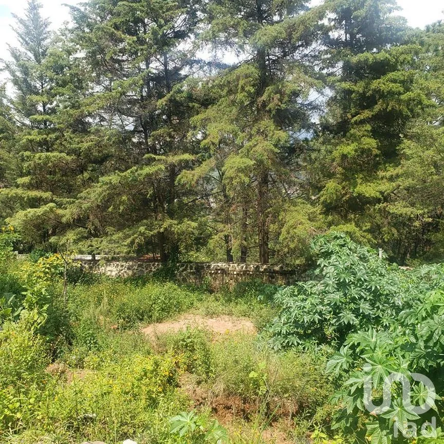 Terreno en Venta en Valle de Bravo, Valle de Bravo, Estado De México | NEX-227299 | iad México | Foto 1 de 12