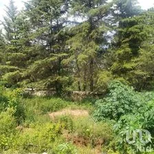 NEX-227299 - Terreno en Venta en Valle de Bravo, CP 51200, Estado De México.
