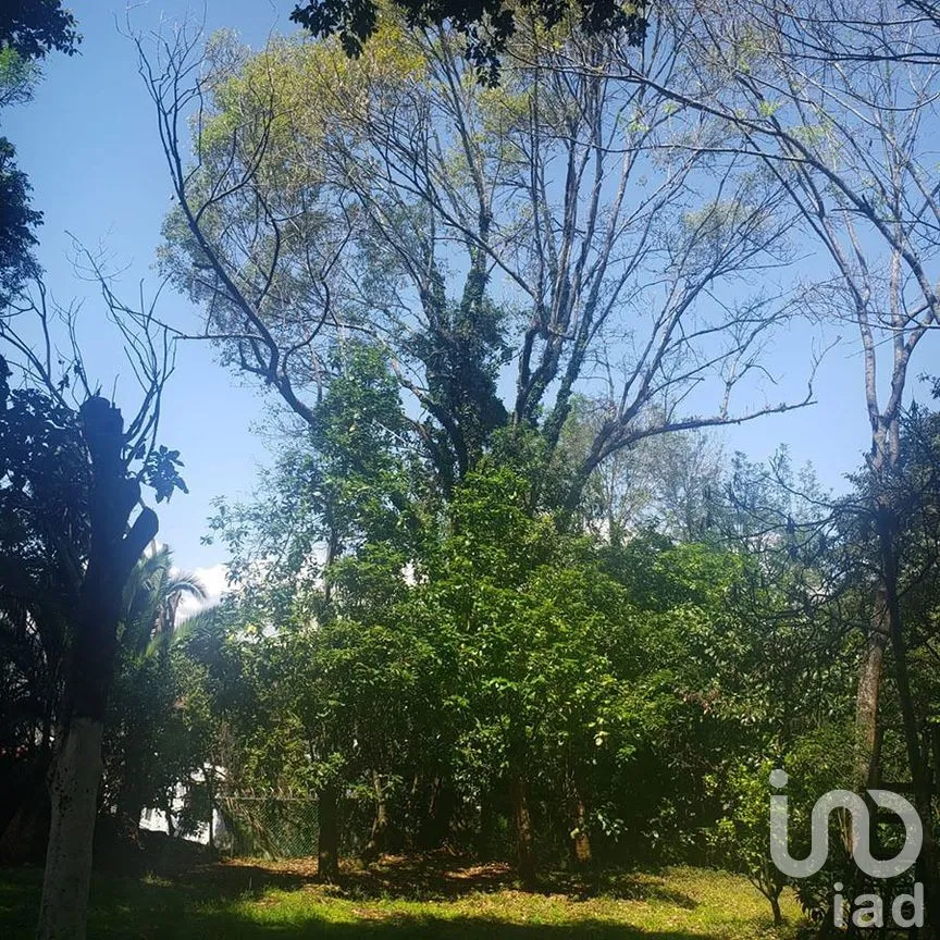 Terreno en Venta en Valle de Bravo, Valle de Bravo, Estado De México | NEX-227301 | iad México | Foto 2 de 12