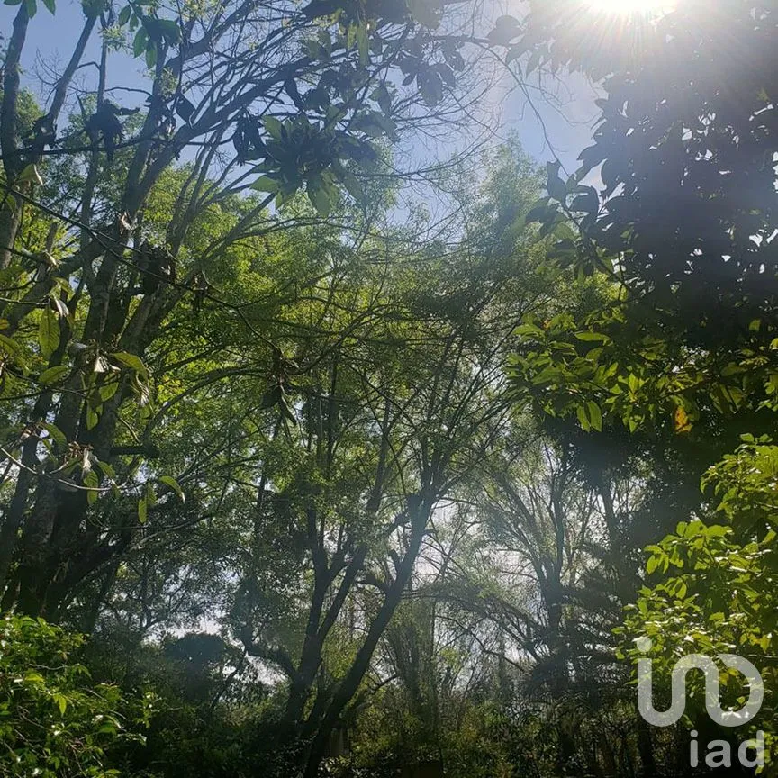 Terreno en Venta en Valle de Bravo, Valle de Bravo, Estado De México | NEX-227301 | iad México | Foto 12 de 12