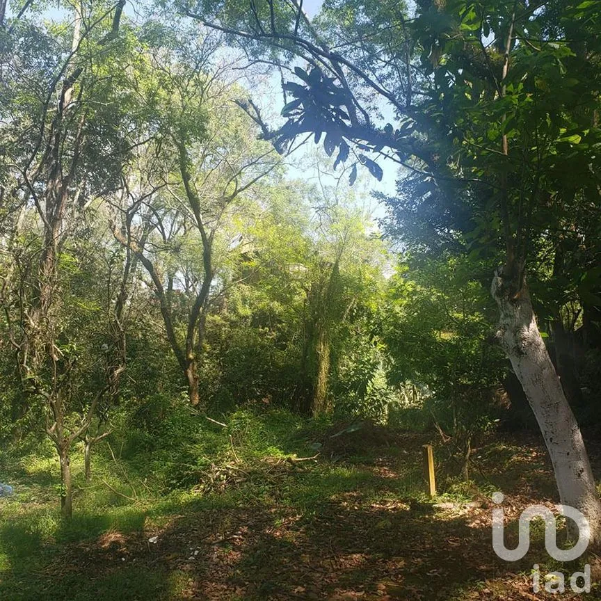 Terreno en Venta en Valle de Bravo, Valle de Bravo, Estado De México | NEX-227301 | iad México | Foto 5 de 12