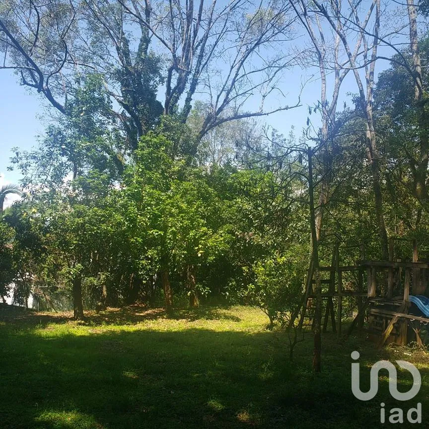 Terreno en Venta en Valle de Bravo, Valle de Bravo, Estado De México | NEX-227301 | iad México | Foto 7 de 12