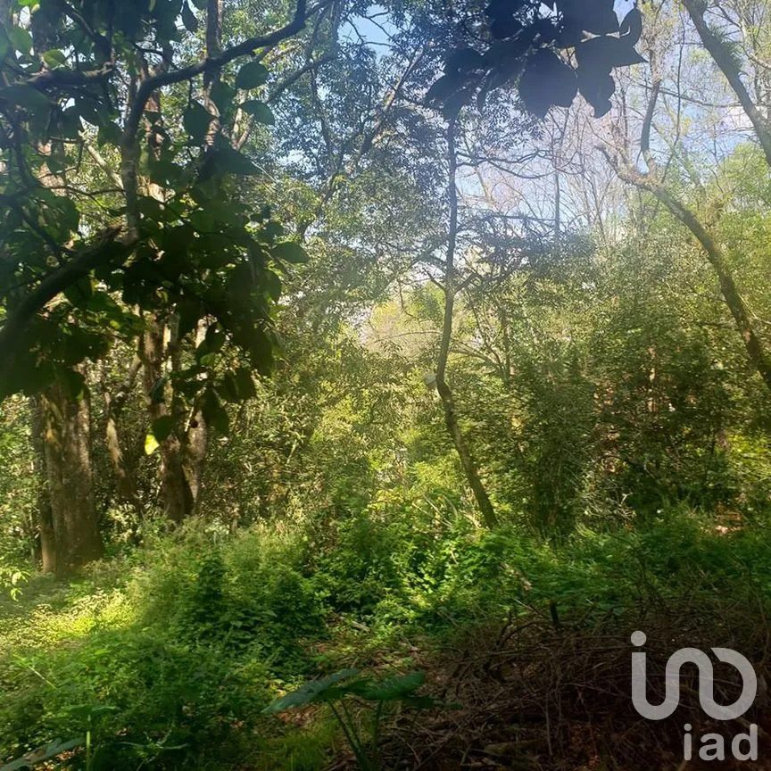 Terreno en Venta en Valle de Bravo, Valle de Bravo, Estado De México | NEX-227301 | iad México | Foto 9 de 12