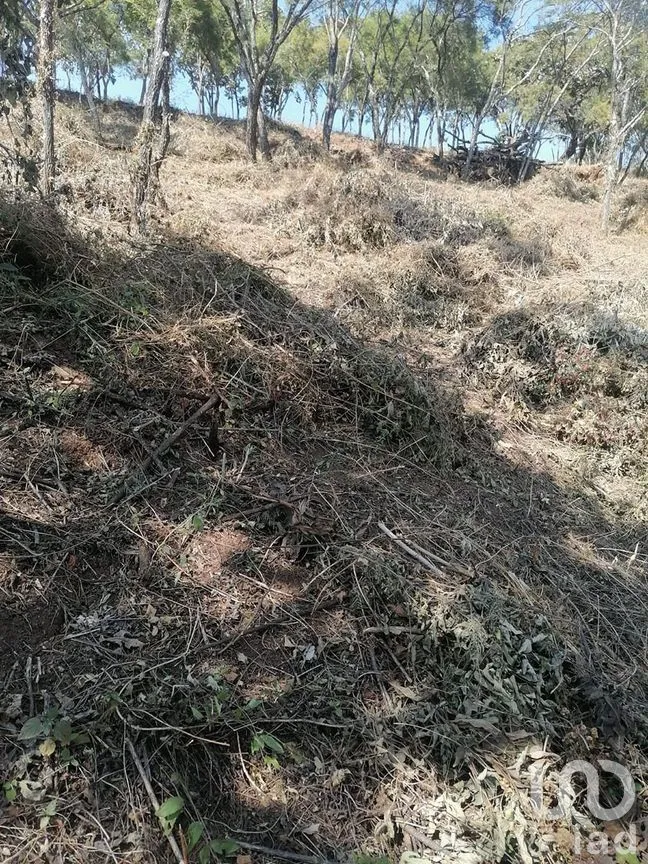 Terreno en Venta en San Gaspar, Valle de Bravo, Estado De México | NEX-227302 | iad México | Foto 11 de 13