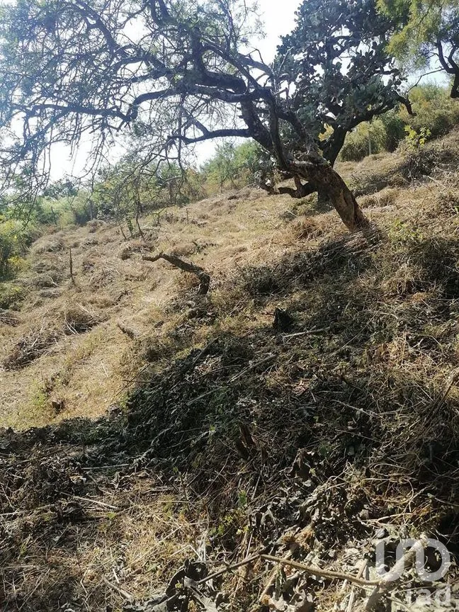 Terreno en Venta en San Gaspar, Valle de Bravo, Estado De México | NEX-227302 | iad México | Foto 12 de 13
