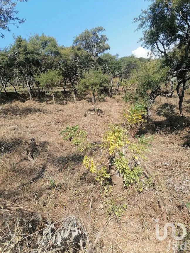 Terreno en Venta en San Gaspar, Valle de Bravo, Estado De México | NEX-227302 | iad México | Foto 9 de 13