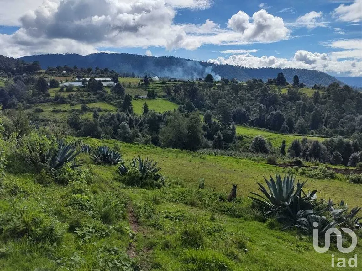 Terreno en Venta en Mesas de Dolores, Valle de Bravo, Estado De México | NEX-227303 | iad México | Foto 2 de 7