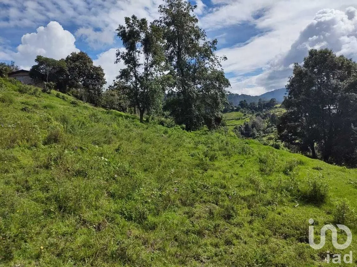 Terreno en Venta en Mesas de Dolores, Valle de Bravo, Estado De México | NEX-227303 | iad México | Foto 5 de 7