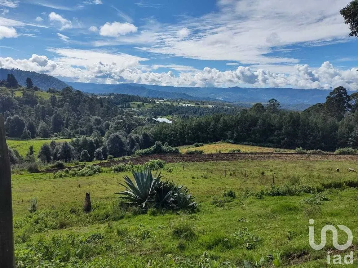 Terreno en Venta en Mesas de Dolores, Valle de Bravo, Estado De México | NEX-227303 | iad México | Foto 1 de 7