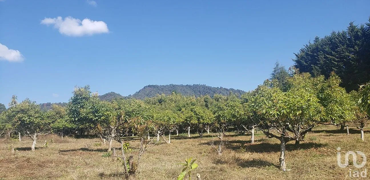 Terreno en Venta en Godínez O Tehuastepec, Valle de Bravo, Estado De México | NEX-227304 | iad México | Foto 3 de 10