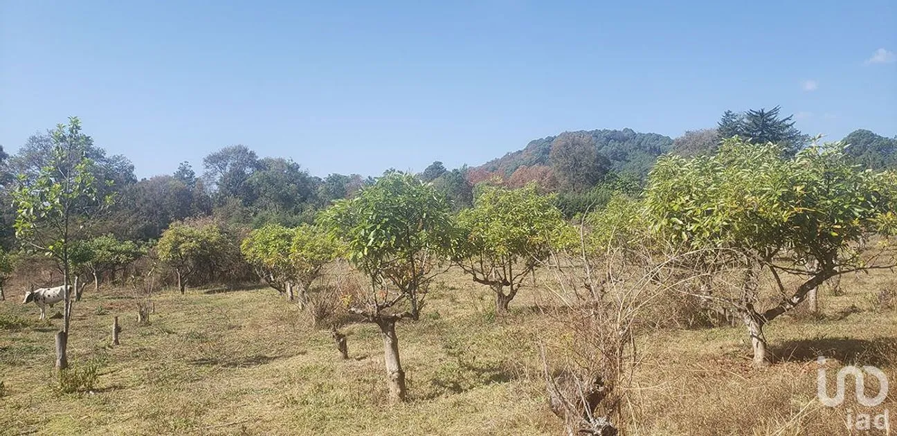 Terreno en Venta en Godínez O Tehuastepec, Valle de Bravo, Estado De México | NEX-227304 | iad México | Foto 4 de 10