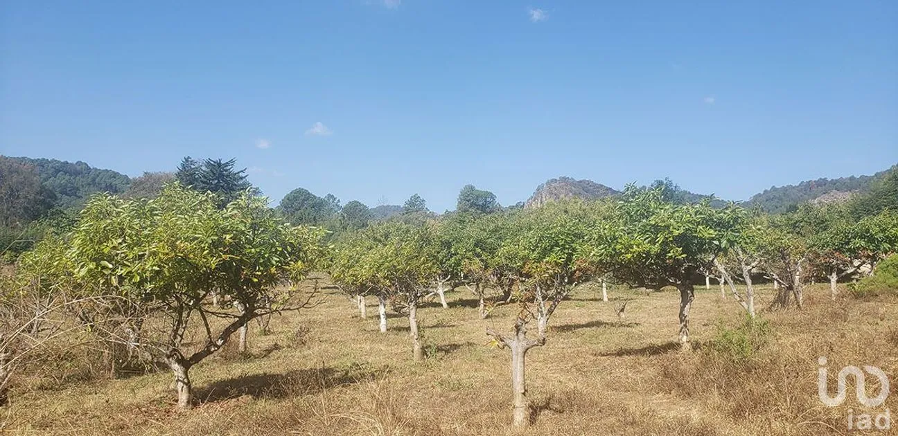 Terreno en Venta en Godínez O Tehuastepec, Valle de Bravo, Estado De México | NEX-227304 | iad México | Foto 5 de 10