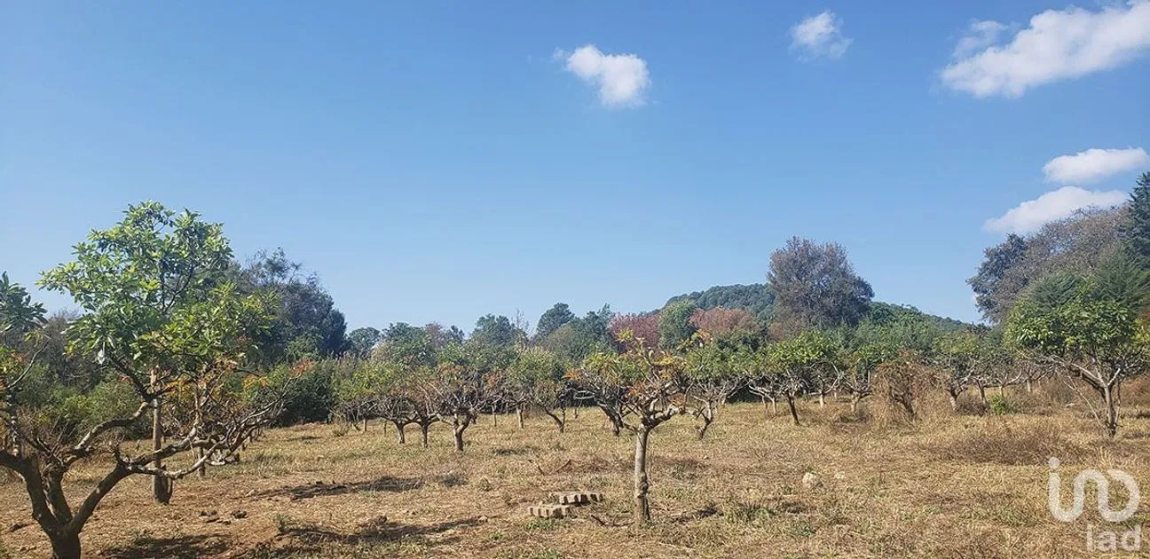 Terreno en Venta en Godínez O Tehuastepec, Valle de Bravo, Estado De México | NEX-227304 | iad México | Foto 1 de 10