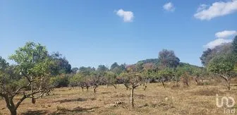 NEX-227304 - Terreno en Venta en Godínez O Tehuastepec, CP 51245, Estado De México.