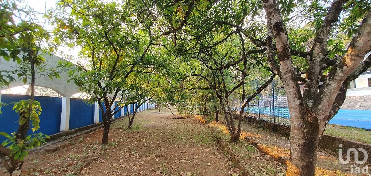Terreno en Venta en Valle de Bravo, Valle de Bravo, Estado De México | NEX-227305 | iad México | Foto 11 de 22