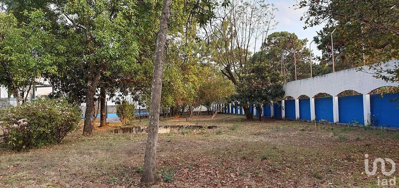 Terreno en Venta en Valle de Bravo, Valle de Bravo, Estado De México | NEX-227305 | iad México | Foto 14 de 22