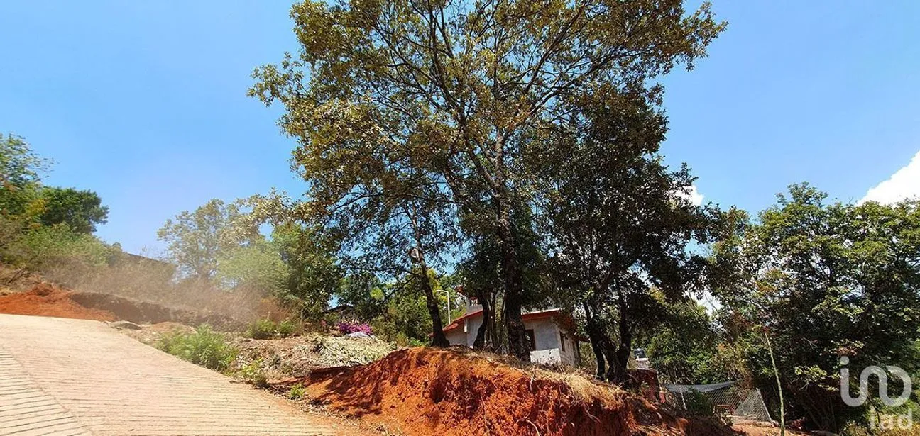 Terreno en Venta en Rincón de Estradas, Valle de Bravo, Estado De México | NEX-227307 | iad México | Foto 9 de 13