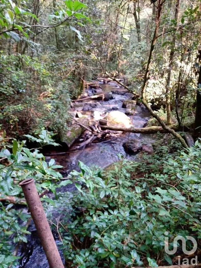 Terreno en Venta en Valle de Bravo, Valle de Bravo, Estado De México | NEX-227309 | iad México | Foto 5 de 9