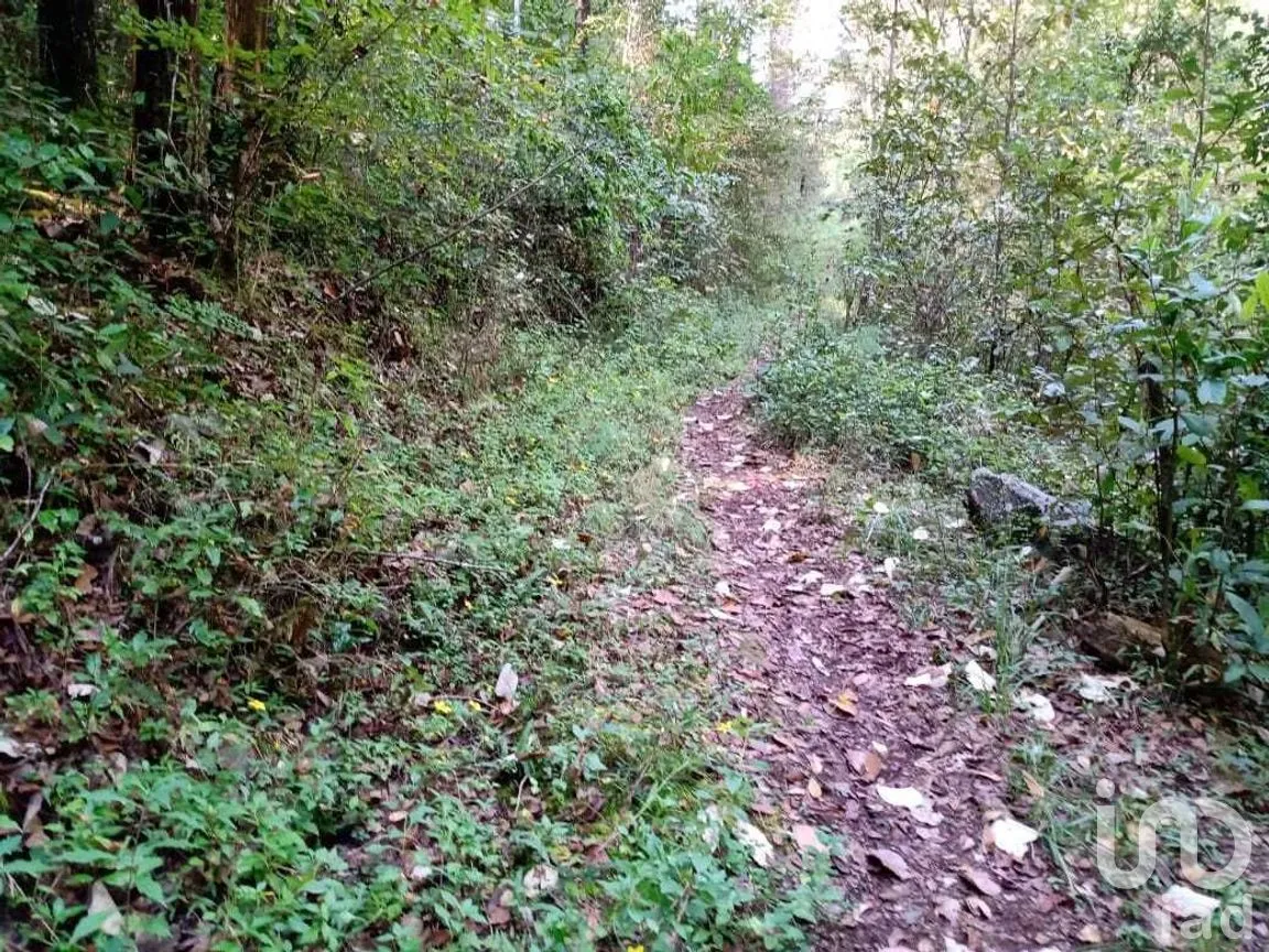 Terreno en Venta en Cerro Gordo, Valle de Bravo, Estado De México | NEX-227310 | iad México | Foto 5 de 9