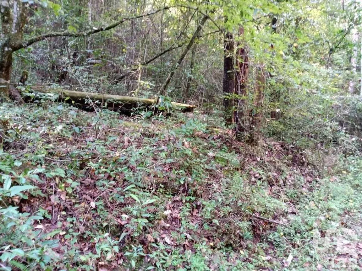 Terreno en Venta en Cerro Gordo, Valle de Bravo, Estado De México | NEX-227310 | iad México | Foto 9 de 9