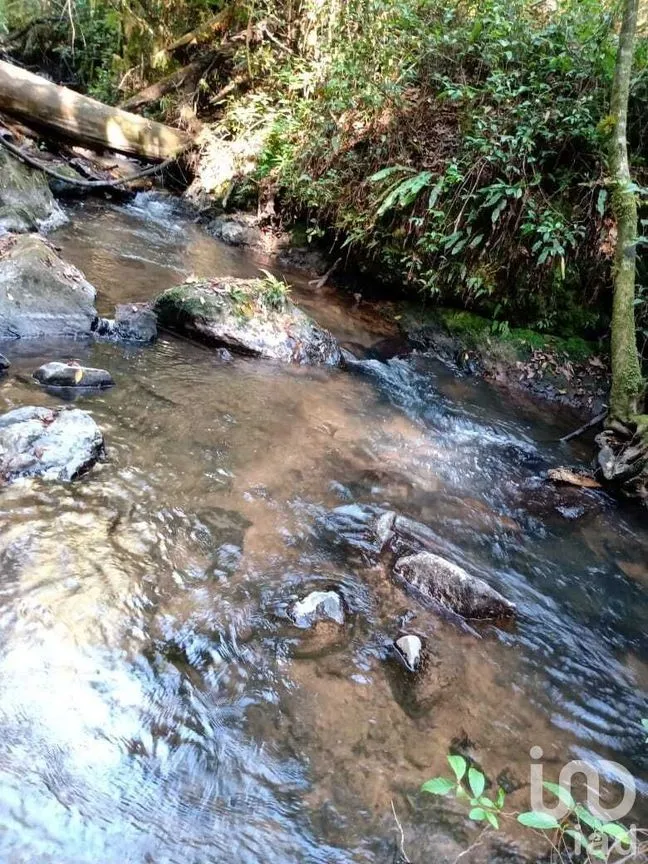 Terreno en Venta en Cerro Gordo, Valle de Bravo, Estado De México | NEX-227310 | iad México | Foto 1 de 9
