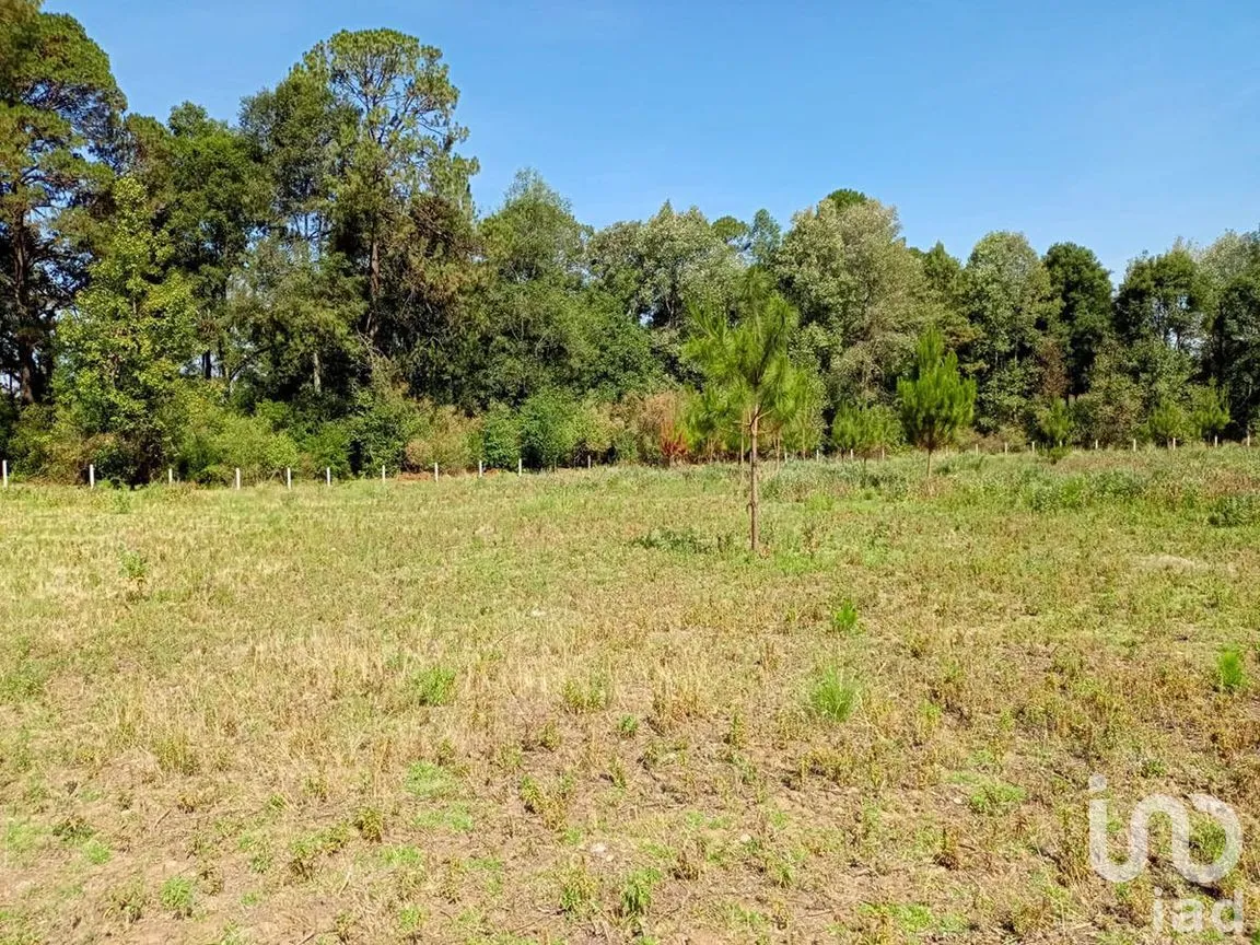 Terreno en Venta en San Juan, Amanalco, Estado De México | NEX-227311 | iad México | Foto 2 de 9