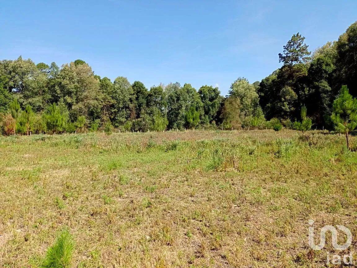 Terreno en Venta en San Juan, Amanalco, Estado De México | NEX-227311 | iad México | Foto 3 de 9